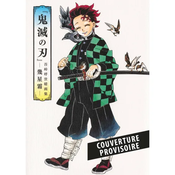 Kimetsu No Yaiba: Demon Slayer - Artbook Official